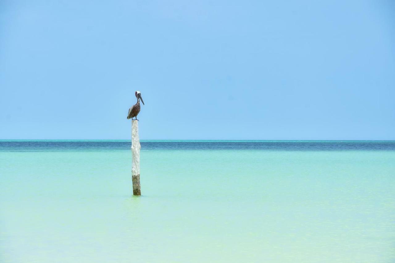 Готель Moon Dreams Yum Balam Isla Holbox Екстер'єр фото